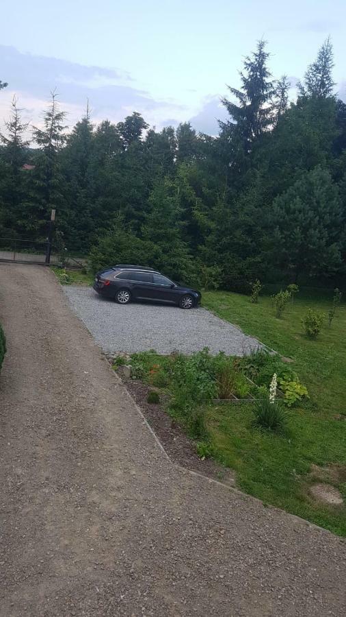 Domki Bieszczady Vila Uherce Mineralne  Exterior foto